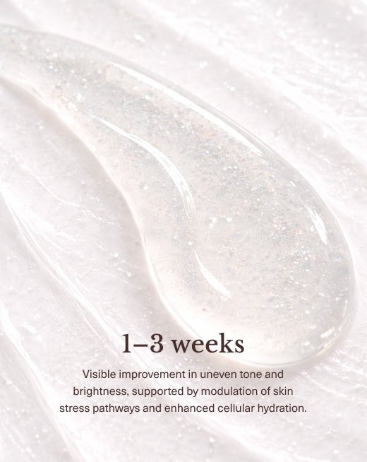 Brightening Face & Body Serum (Niacinamide + Rosa Damascena + Sodium Hyaluronate + Ceramide NP) - Cham beauty