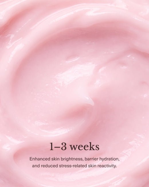 Brightening Face Cream (Rosa Damascena Flower Water + Ceramide NP + Niacinamide) - Cham beauty