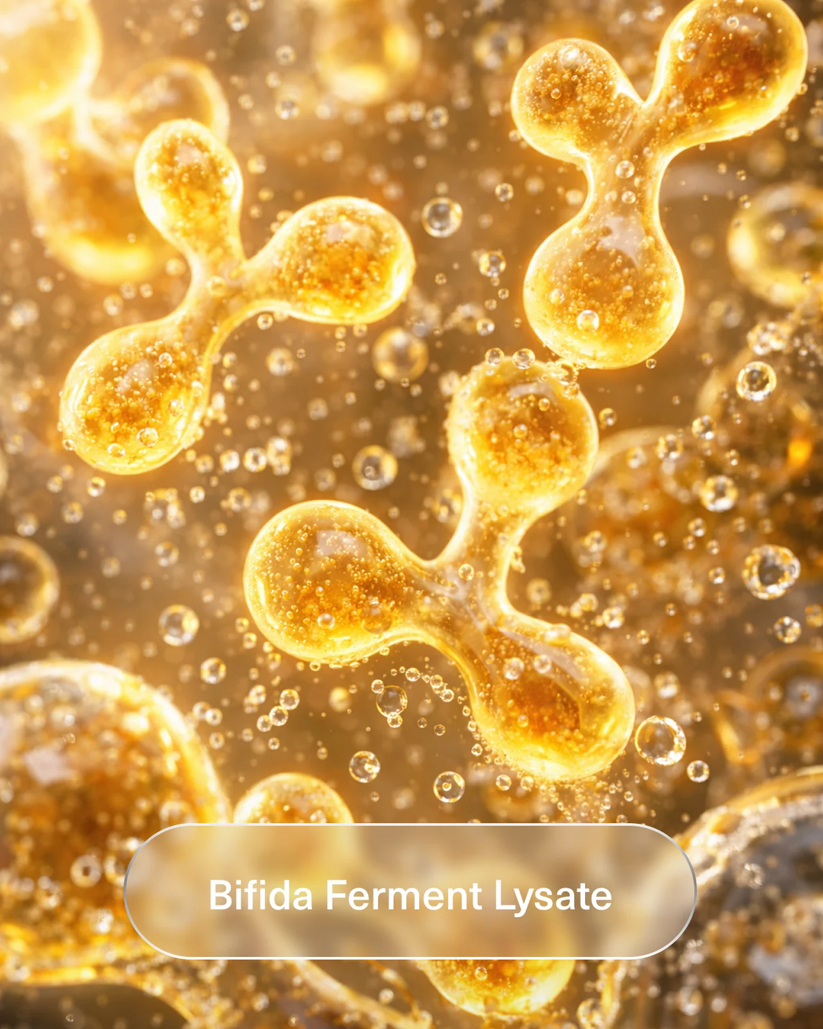 Brightening Body Lotion (Niacinamide+ Bifida Ferment Lysate + Ceramide NP)